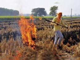 किसान पैरा न जलाएं, करें समुचित प्रबंधन: कृषि विभाग की एडवाइजरी